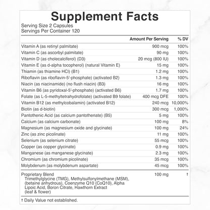 Brand: DEAL SUPPLEMENT — DEAL SUPPLEMENT Methylated Multivitamin for Men & Women, 240 Capsules | 100% DV Vitamins & Minerals | Activated B-Complex & Chelated Minerals, with CoQ10, TMG & ALA | Non-GMO, cGMP Manufactured